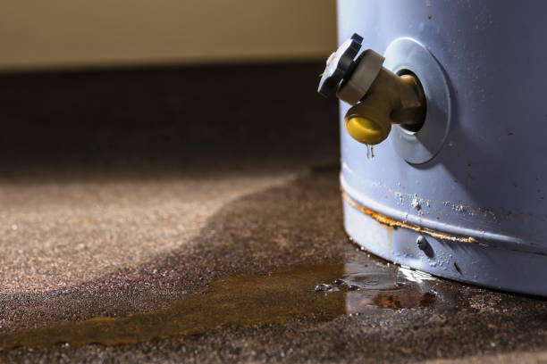 Best Ceiling water damage repair  in Holiday City South, NJ