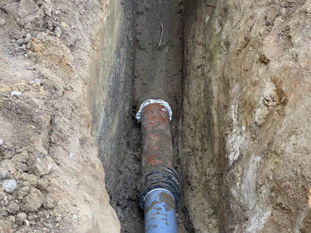 Best Sewage cleanup and water damage restoration  in Holiday City South, NJ