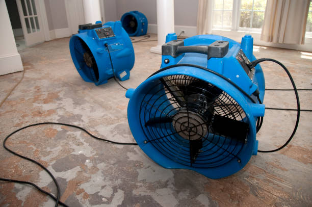 Best Emergency water damage restoration  in Holiday City South, NJ