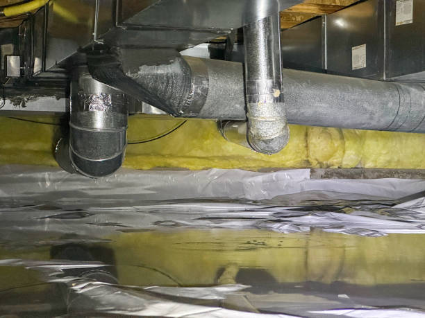 Best Mold removal after water damage  in Holiday City South, NJ