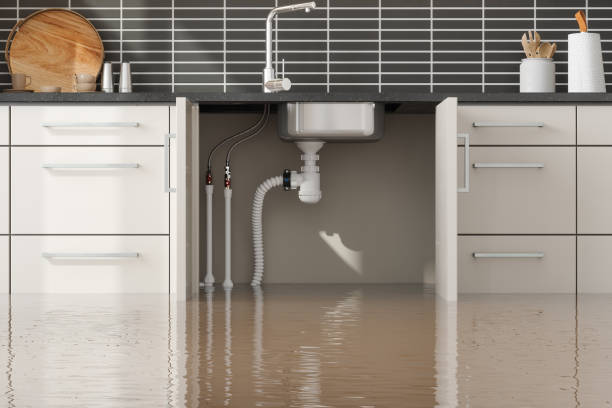 Best Commercial water damage restoration  in Holiday City South, NJ
