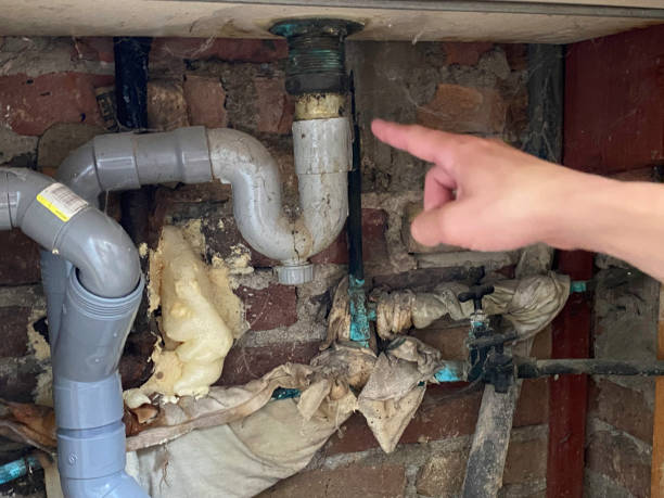 Best Flooded house restoration  in Holiday City South, NJ