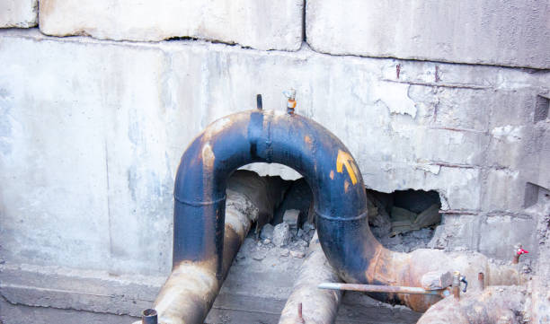 Best Water damage restoration near me  in Holiday City South, NJ