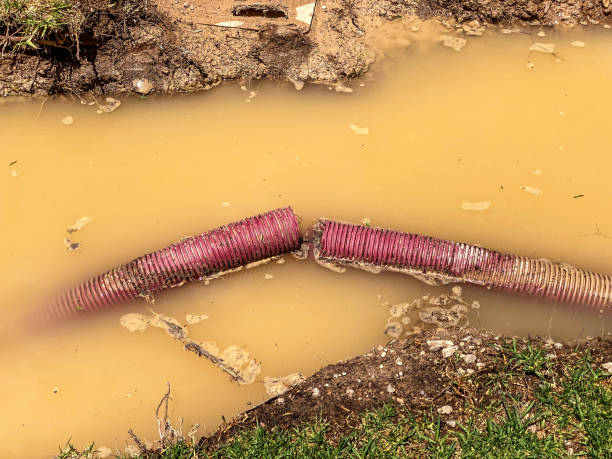 Best Residential water damage restoration  in Holiday City South, NJ